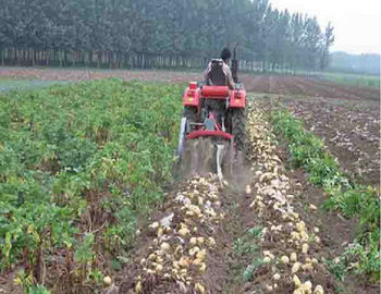 Chine Petit équipement de ferme à échelle réduite de machines agricoles de deux rangées fournisseur