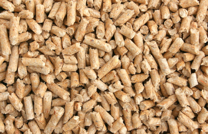 Tige de paille/maïs de blé/chaîne de production en bois de granule foin de luzerne capacité de 500KG/H